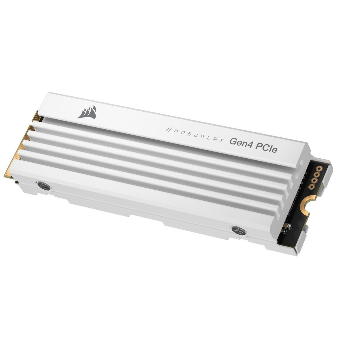 Corsair - CSSD-F4000GBMP600PLPW -   