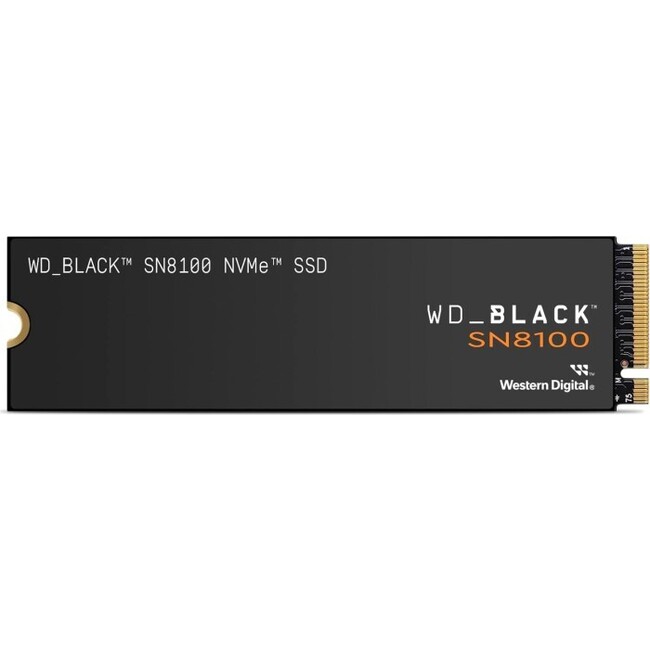 Western Digital - WDS100T1X0M -   